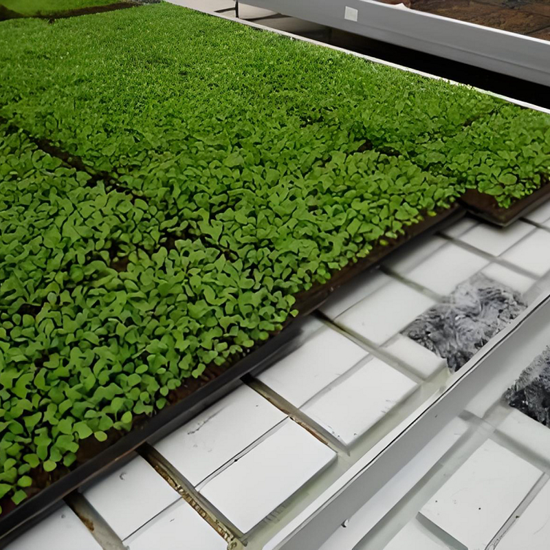Cama de semillas de marea ABS y cama de vivero