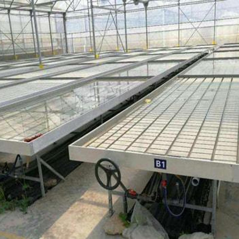 Cama de semillas de marea ABS y cama de vivero