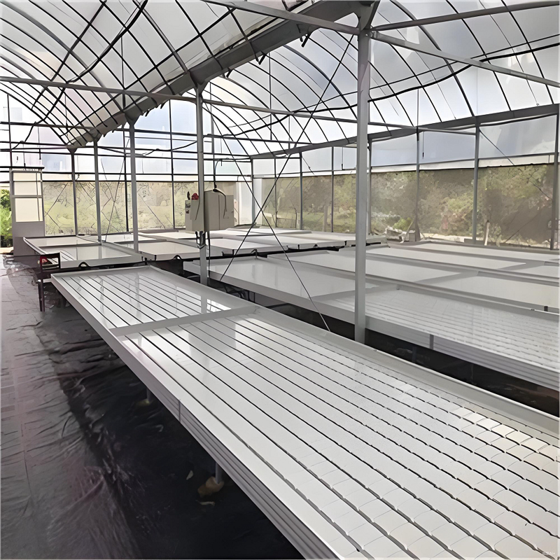 Cama de semillas de marea ABS y cama de vivero